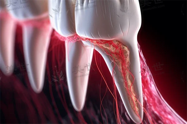 东莞固德口腔门诊部具体位置及2026年种植牙费用分析，了解真实收费标准和医院排名