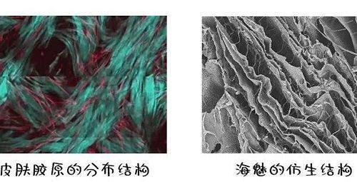四、眉毛凹陷疤痕修复的通用专精护理要点