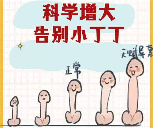 五、参考图片视频选方案？别只看“网红款”，要贴合自身基础