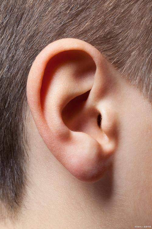 北京芊芊丽人整形美容医院地址电话及营业时间：