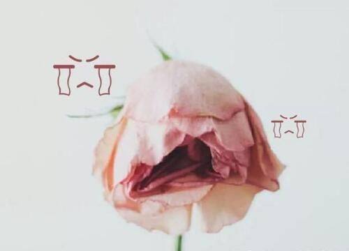 二、土豆片敷眼：缓解假性眼袋，也要慎防过敏与脂肪粒