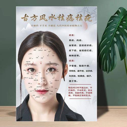 张家口天宏医疗美容医院预约挂号方式：