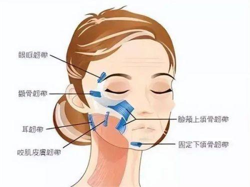 五、科学规避:4项方法降低假体隆胸的风险