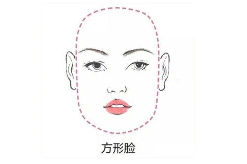 自体组织特性:耳软骨长期维持的核心基础