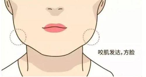 五、部分不同观点的解读与参考