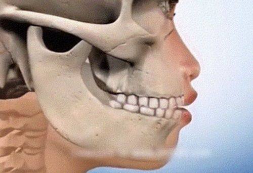 陈明辉医生怎么预约