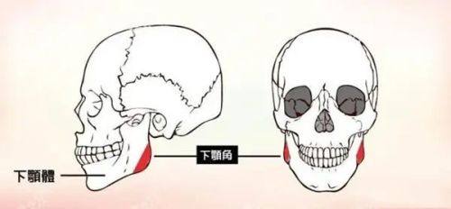 五、确定自身耳软骨隆鼻住院方案的正确方式