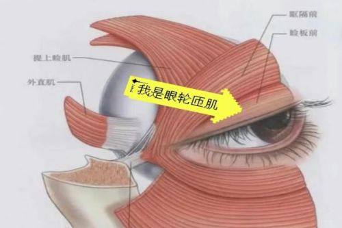 呼和浩特闫小林医学美容整形医院 口碑评价: