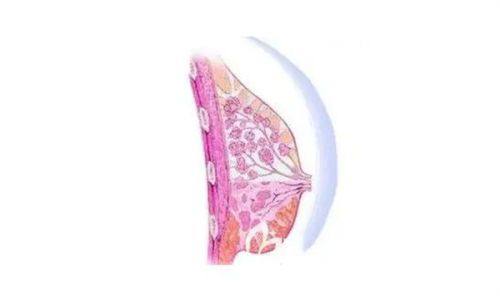 三、习惯累积:中年眼袋的“助推器”