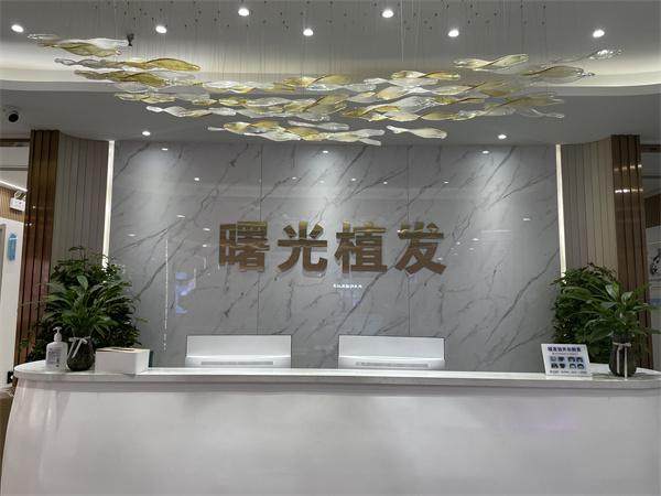 宋爱聪医生擅长领域