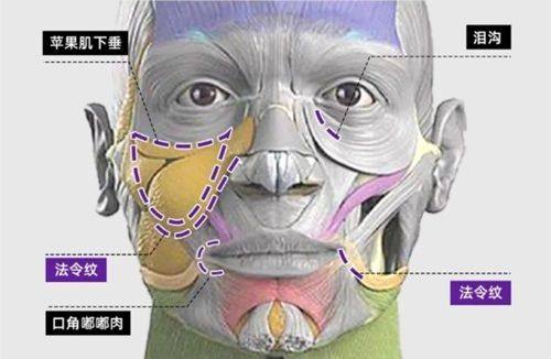 崔相哲医生怎么预约