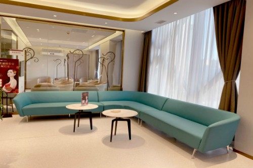 史文君医生擅长领域