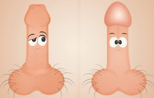 三、耳软骨隆鼻后鼻尖多久变软