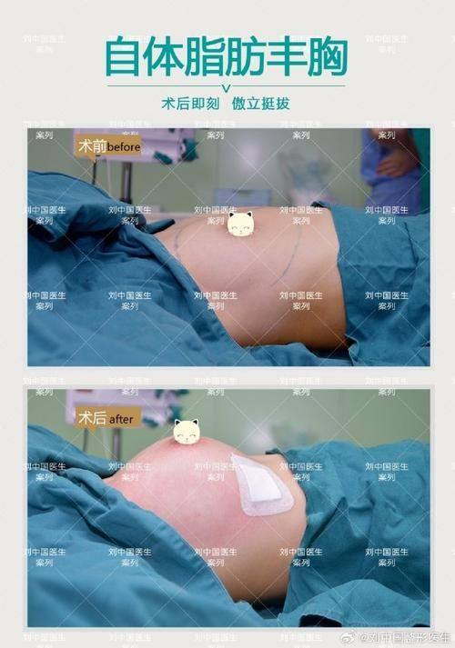 沈阳医 科 大学附属盛京医院地址电话及营业时间: