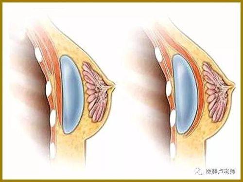成都MYSKIN医疗美容诊所价格表