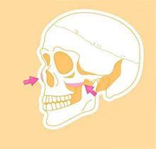 三、超声波去眼袋 vs 手术祛眼袋,哪个成效更好