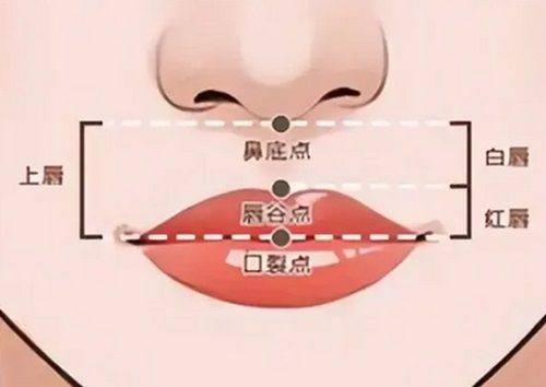 北京丽星翼美医疗美容医生名单及擅长领域