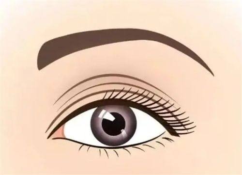 合肥包河区疾病防控中 心预约挂号方式