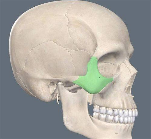 四、术后食用芝士的核心注意事项