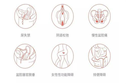 五、术后整体饮食与修复建议