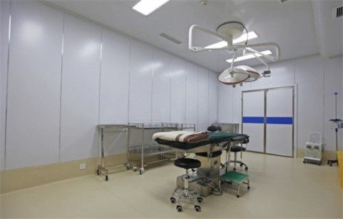 曹阳丽格医疗美容门诊部擅长项目：