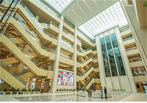 广东祈福整形医院擅长项目：