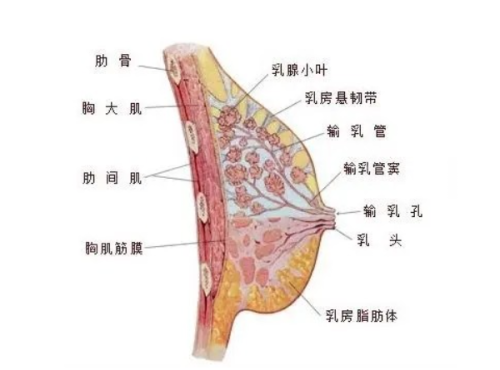 二、更典型的并发症：包膜挛缩