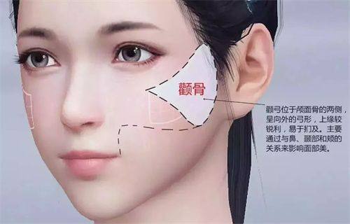 五、吸脂10斤后的反弹与成效维持