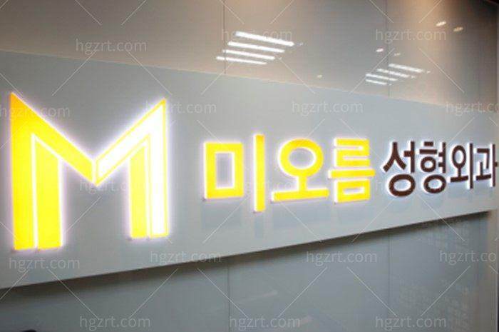 韩国美思科整形医院擅长项目