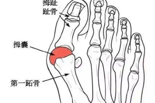 姚文磊医生擅长领域
