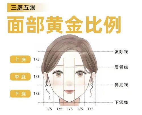 四、专精修复建议