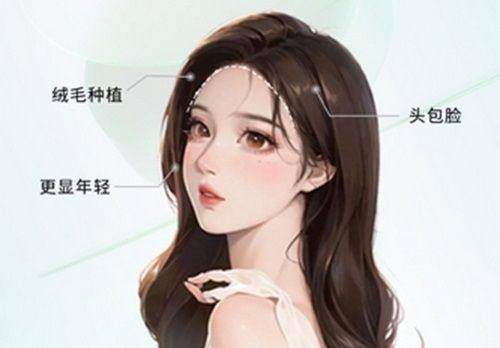 哈尔滨丽珍医疗美容医院预约挂号方式: